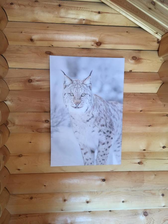 Willa Le Syote Xonrupt-Longemer Zewnętrze zdjęcie